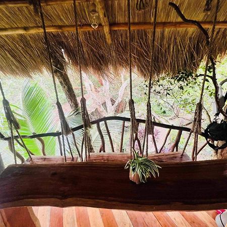Sanctuaria Treehouses باسانغا المظهر الخارجي الصورة