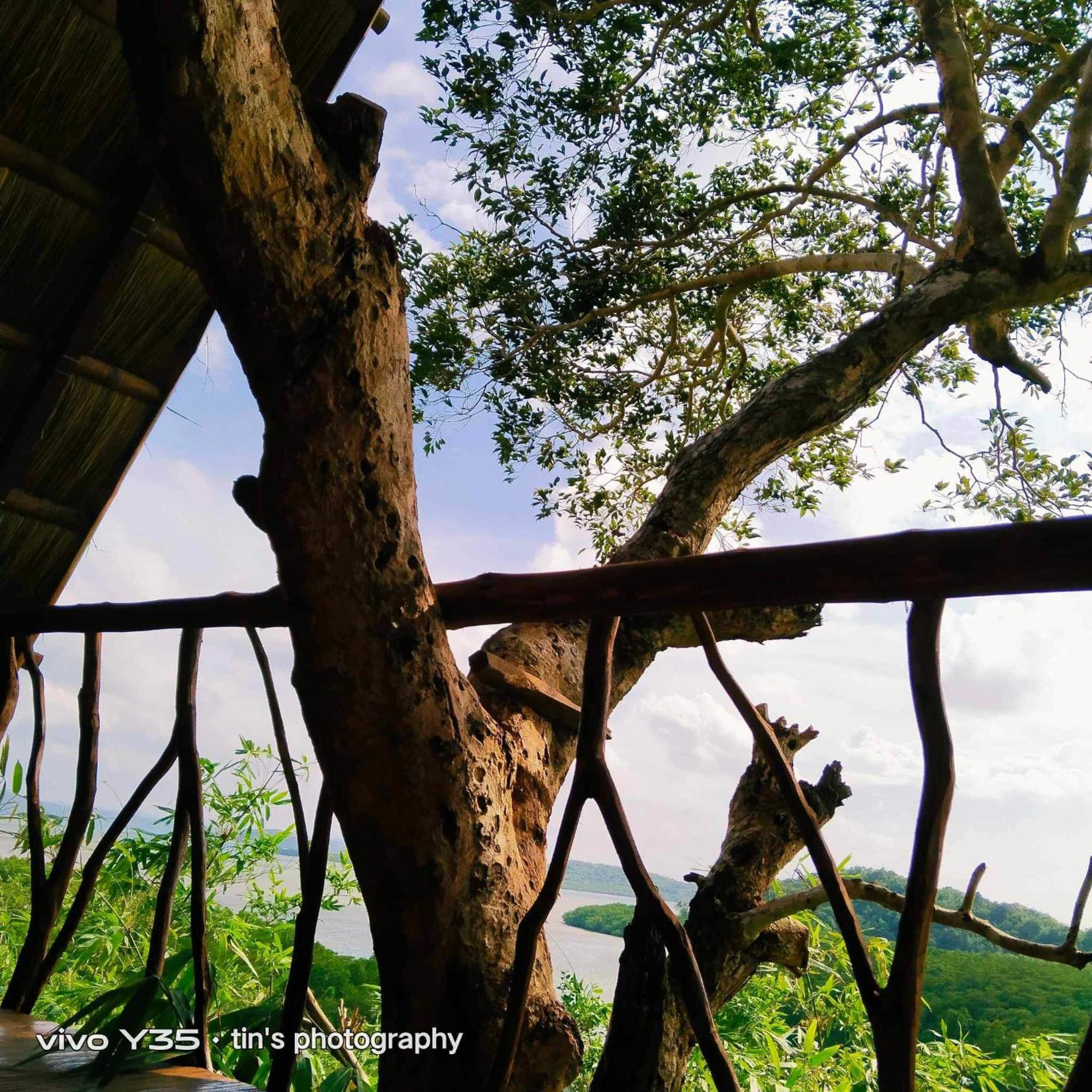 Sanctuaria Treehouses باسانغا المظهر الخارجي الصورة