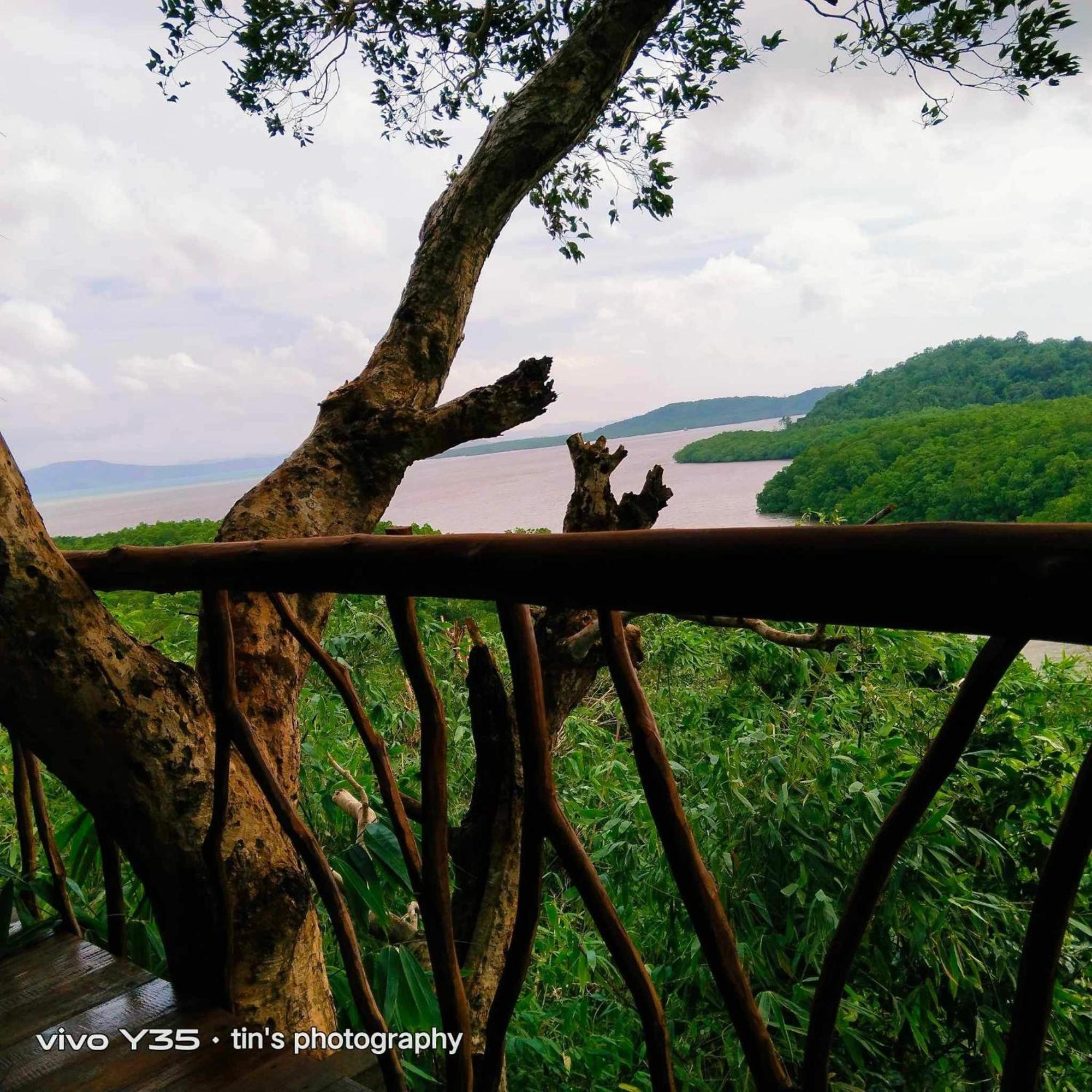 Sanctuaria Treehouses باسانغا المظهر الخارجي الصورة