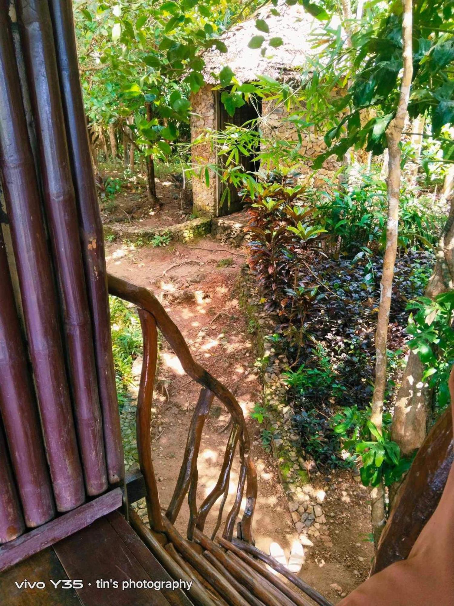 Sanctuaria Treehouses باسانغا المظهر الخارجي الصورة