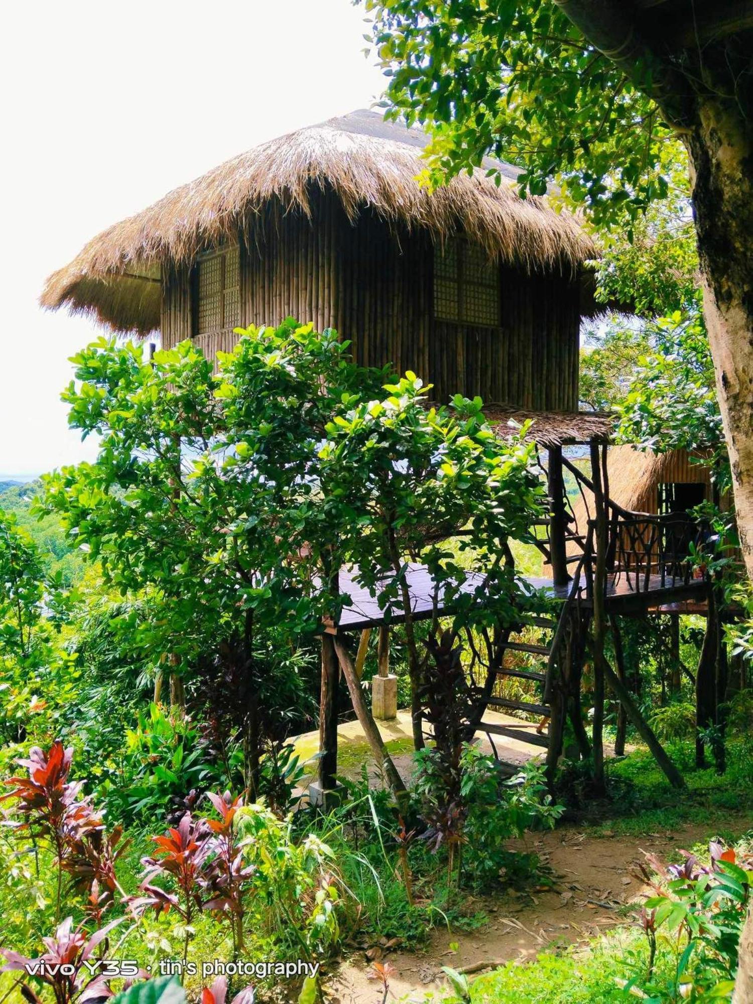Sanctuaria Treehouses باسانغا المظهر الخارجي الصورة