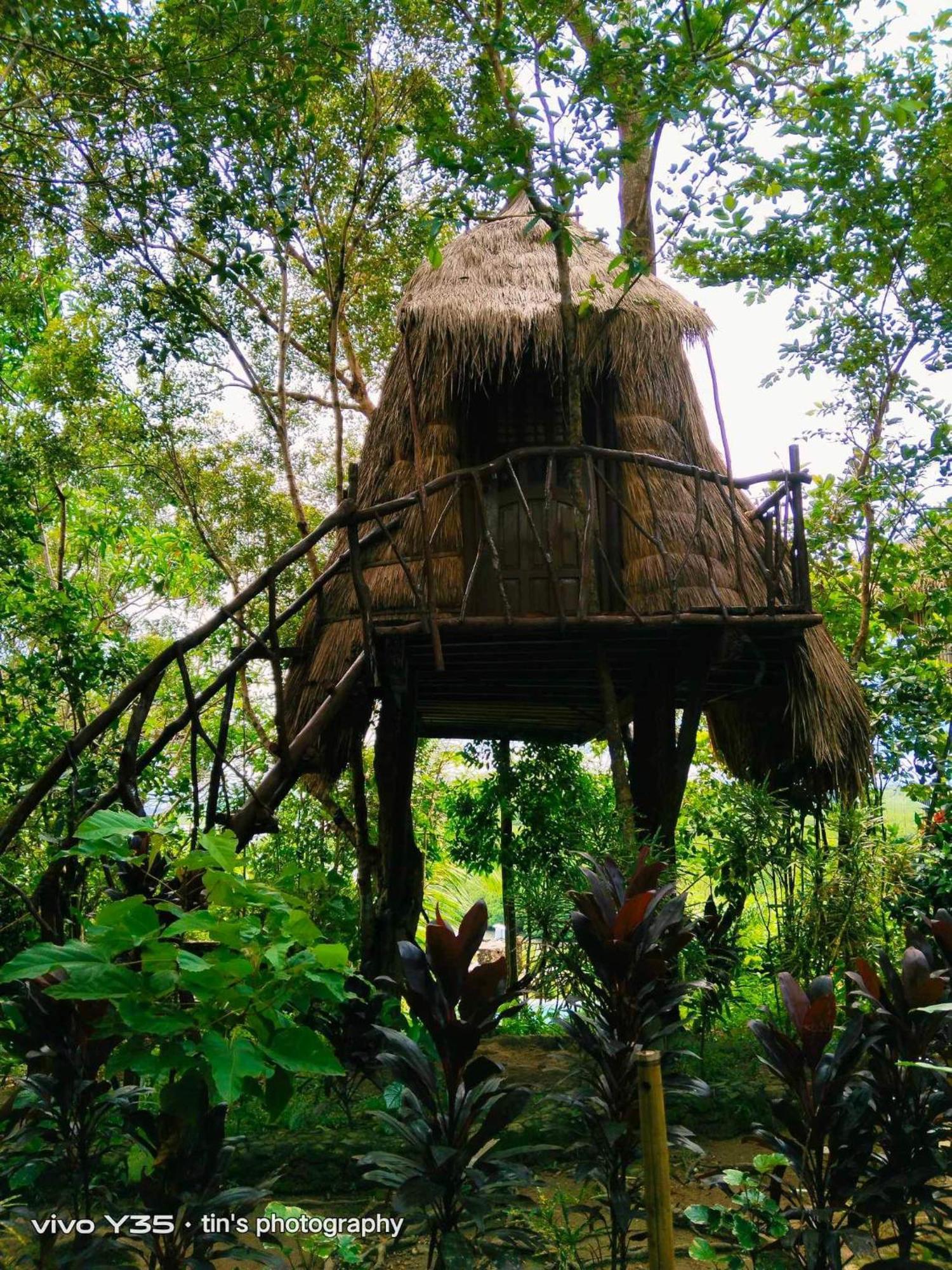 Sanctuaria Treehouses باسانغا المظهر الخارجي الصورة