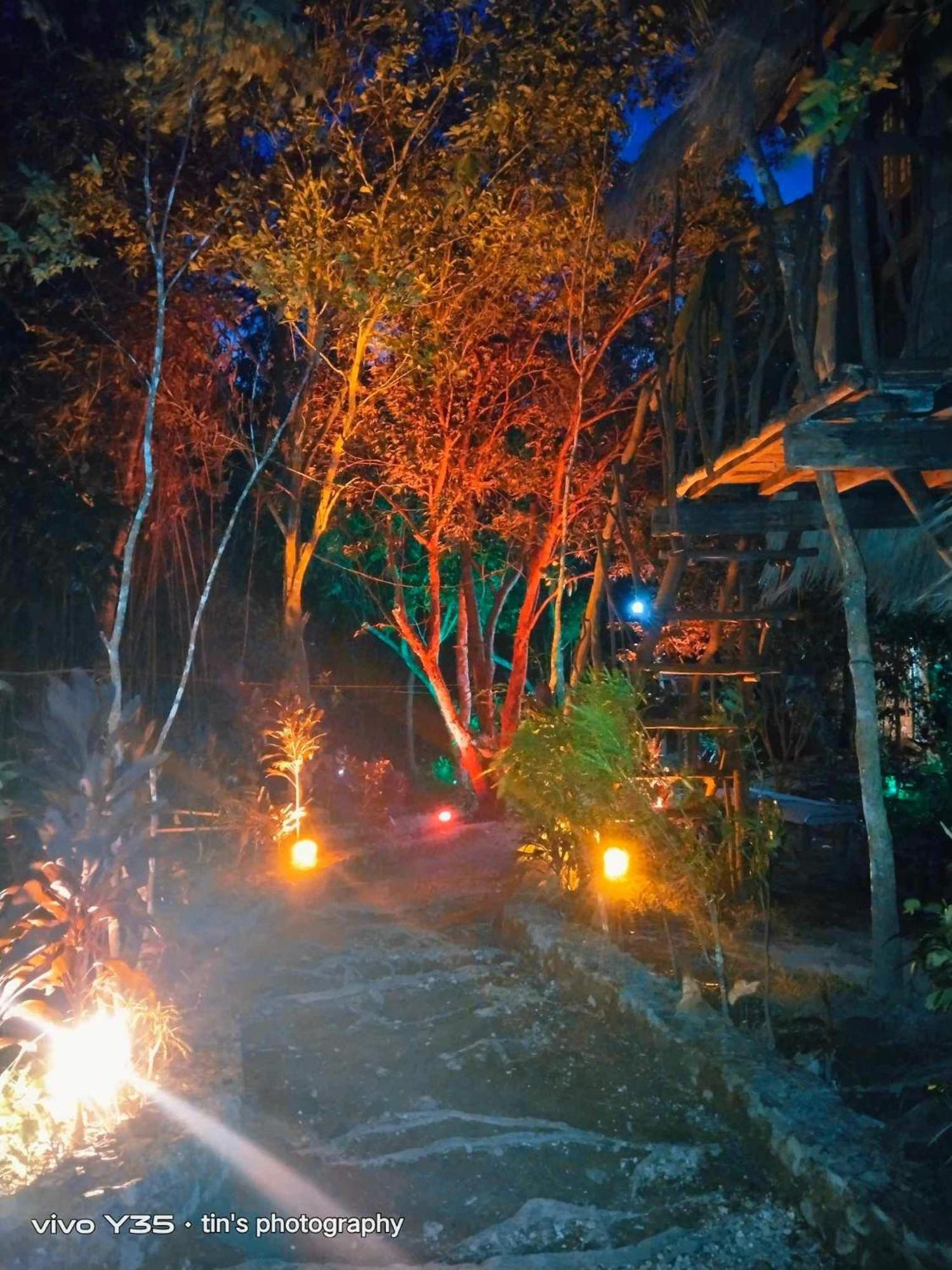 Sanctuaria Treehouses باسانغا المظهر الخارجي الصورة
