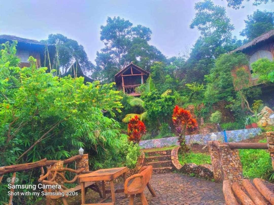 Sanctuaria Treehouses باسانغا المظهر الخارجي الصورة