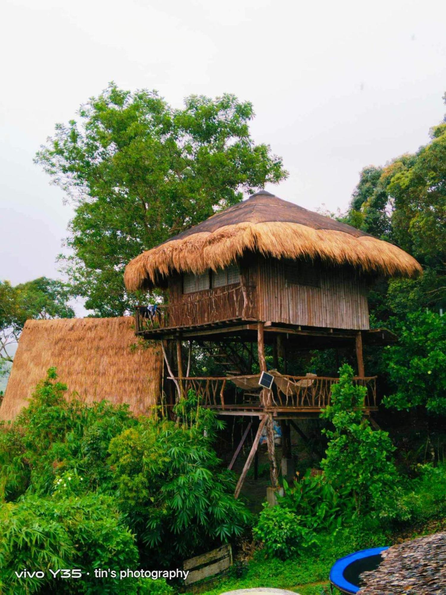 Sanctuaria Treehouses باسانغا المظهر الخارجي الصورة