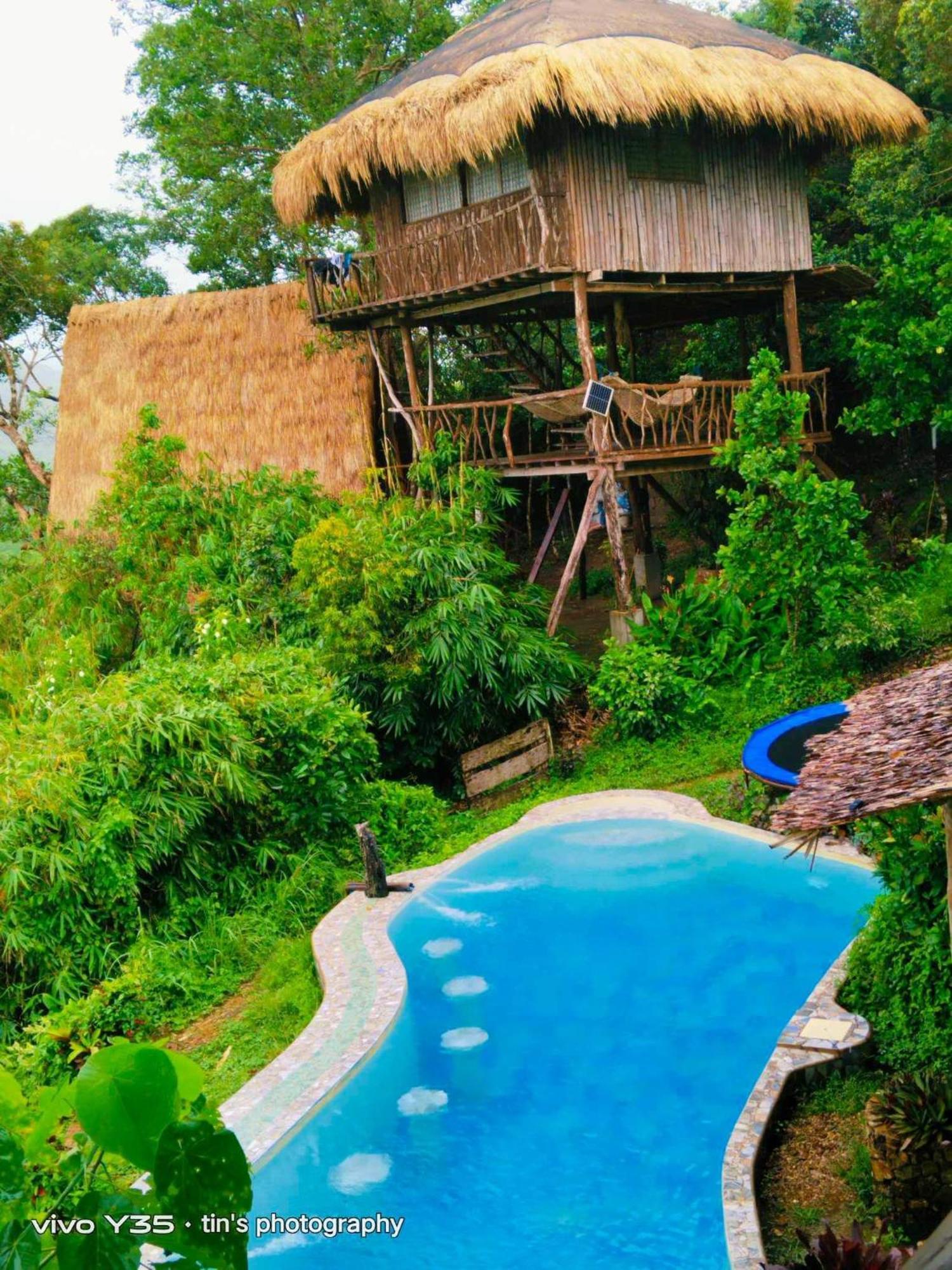 Sanctuaria Treehouses باسانغا المظهر الخارجي الصورة