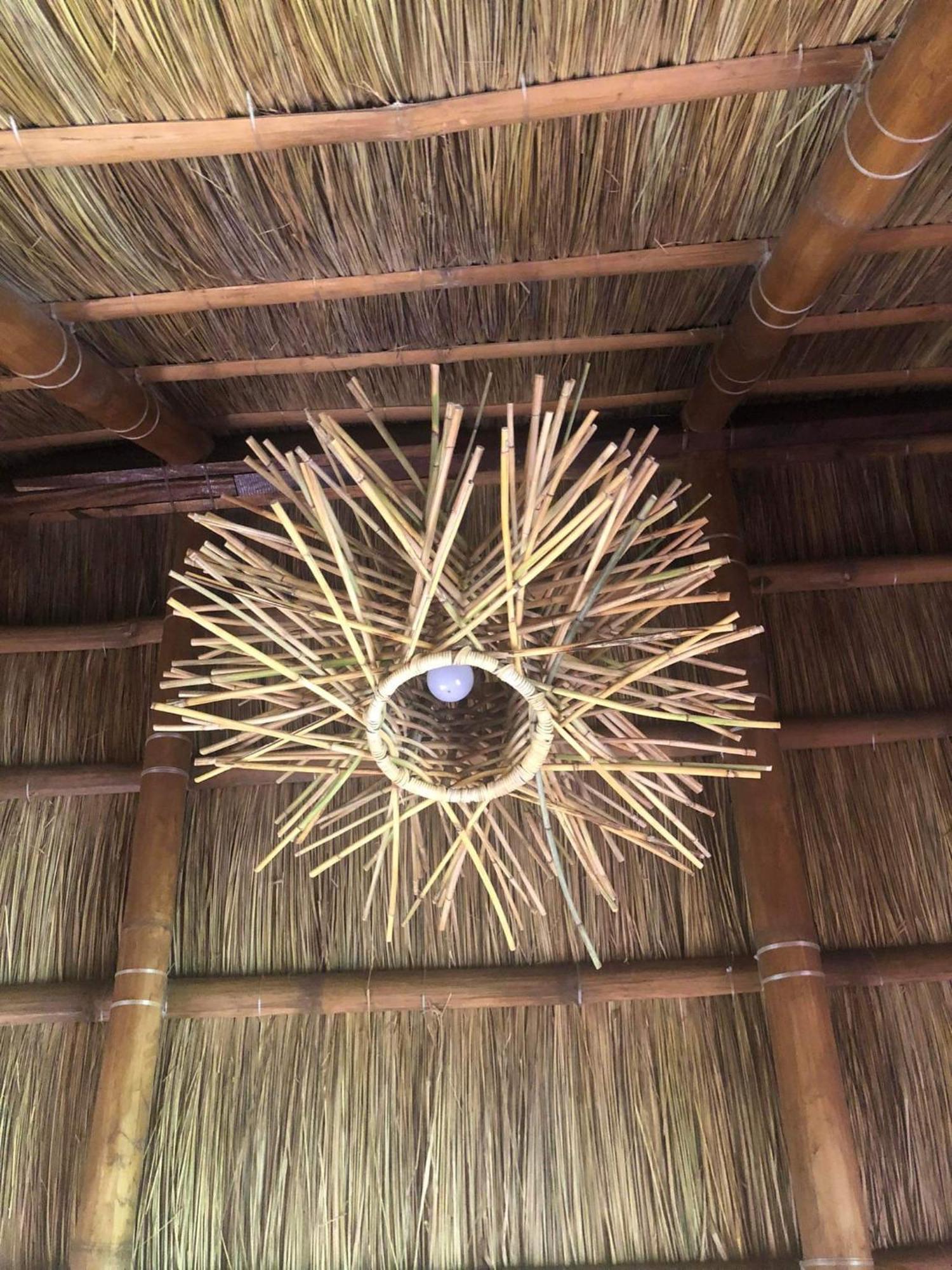 Sanctuaria Treehouses باسانغا المظهر الخارجي الصورة
