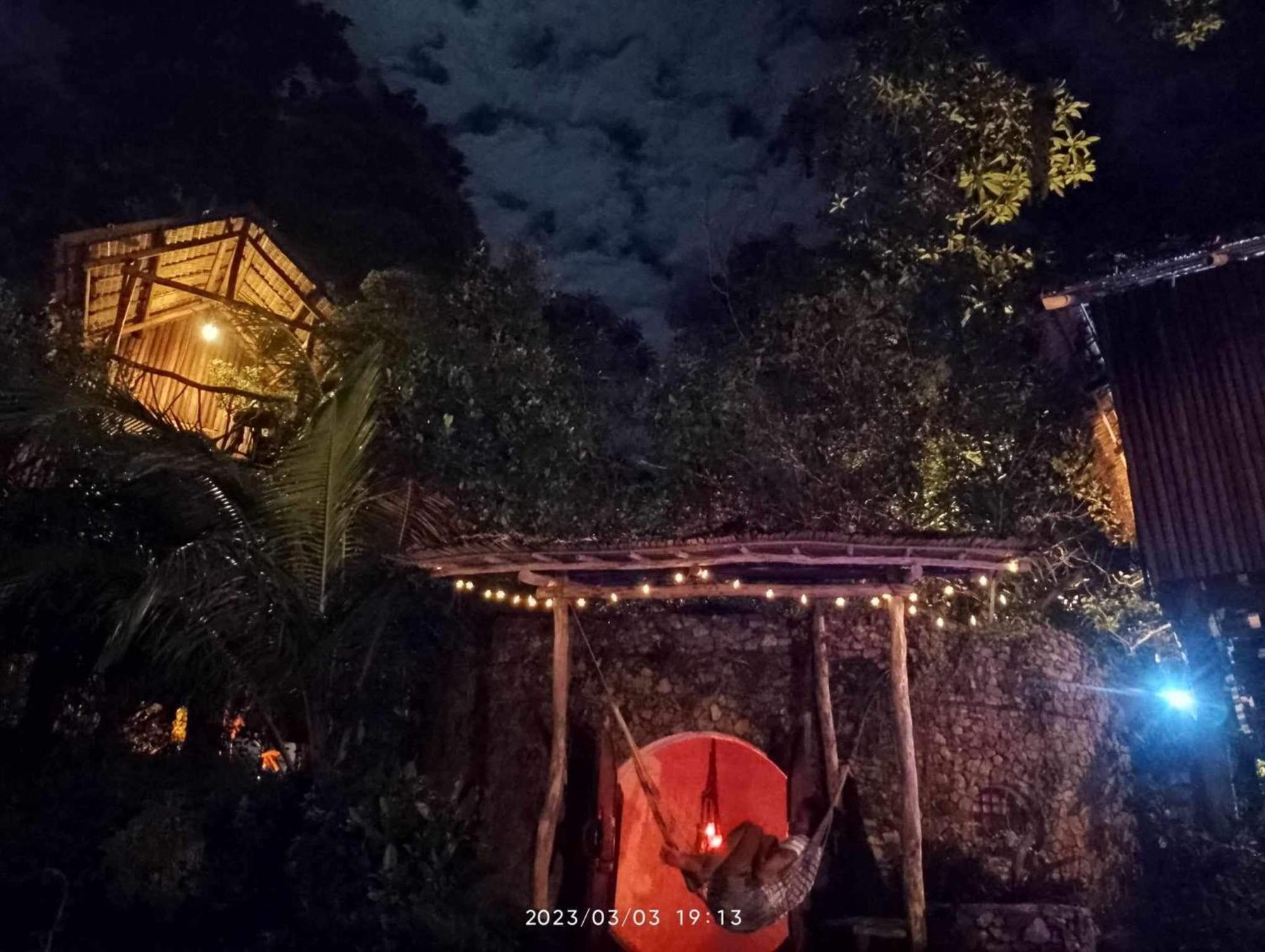 Sanctuaria Treehouses باسانغا المظهر الخارجي الصورة