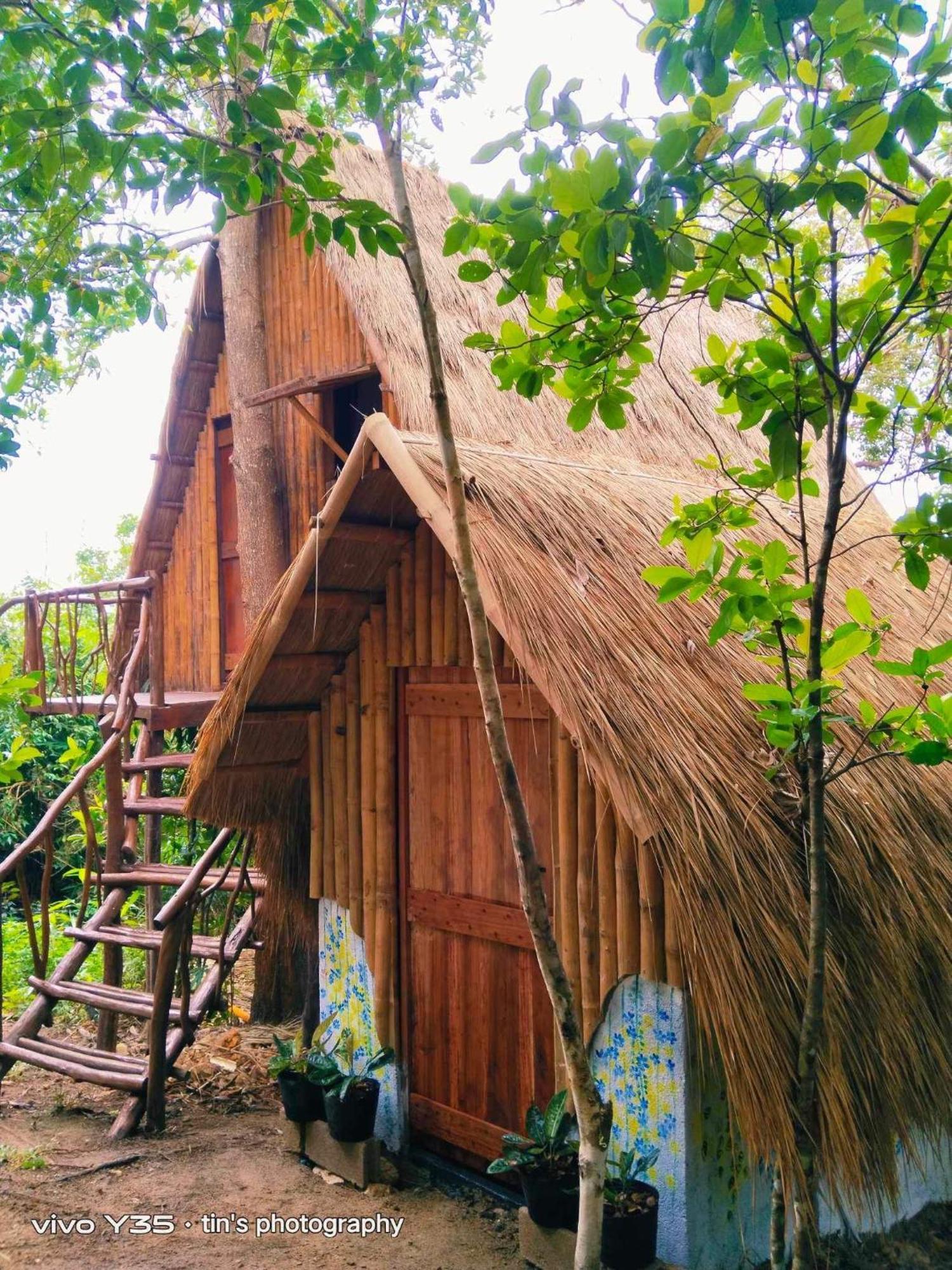 Sanctuaria Treehouses باسانغا المظهر الخارجي الصورة