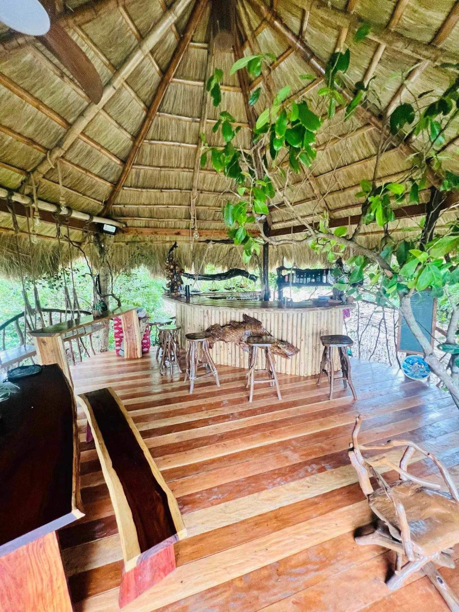 Sanctuaria Treehouses باسانغا المظهر الخارجي الصورة