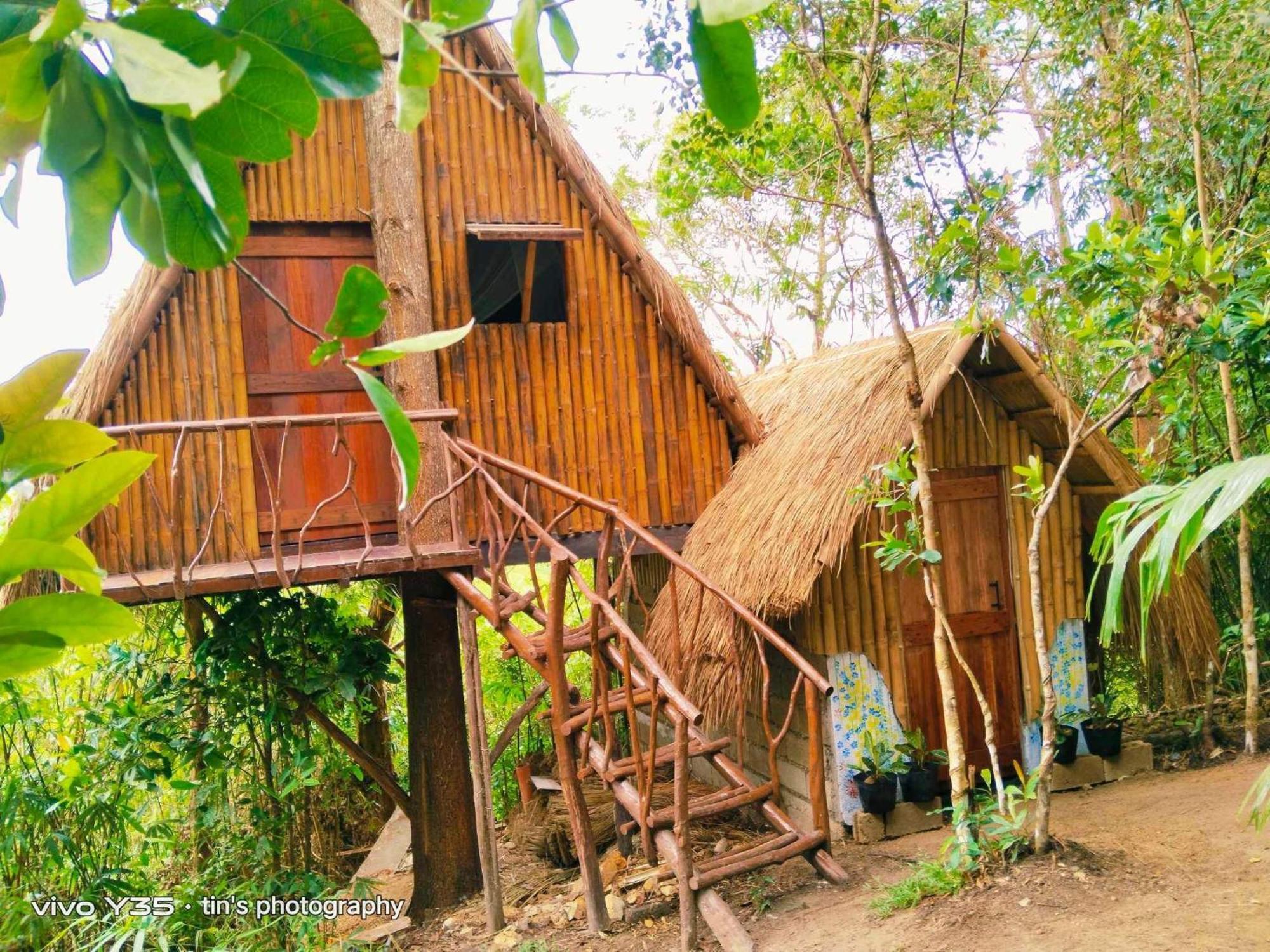 Sanctuaria Treehouses باسانغا المظهر الخارجي الصورة